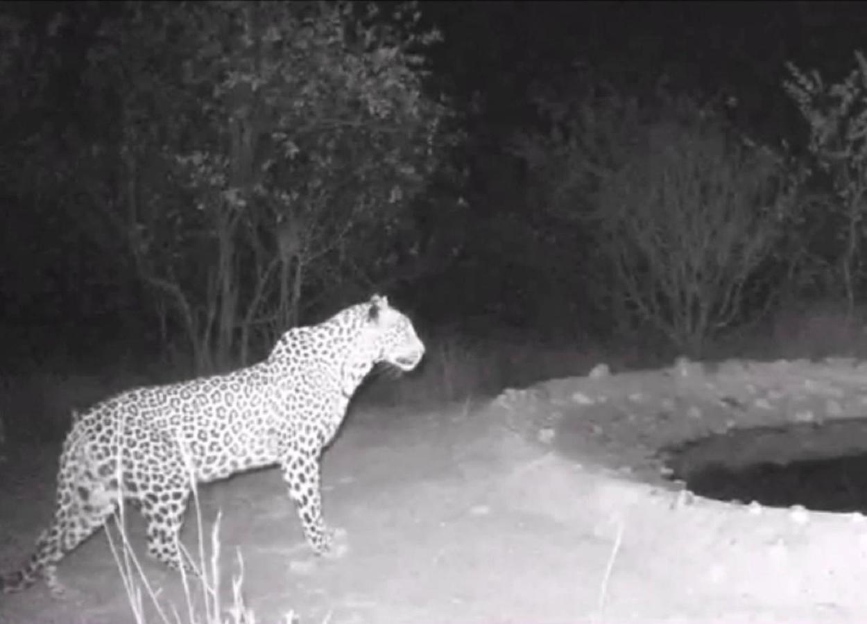 Bushvilla Umoja Kruger بهالابوروا المظهر الخارجي الصورة