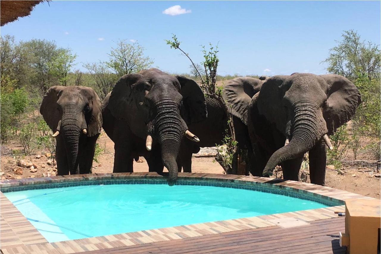 Bushvilla Umoja Kruger بهالابوروا المظهر الخارجي الصورة